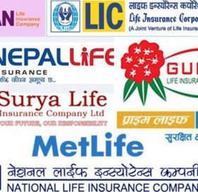 डरलाग्दो बन्दै बीमा बजार