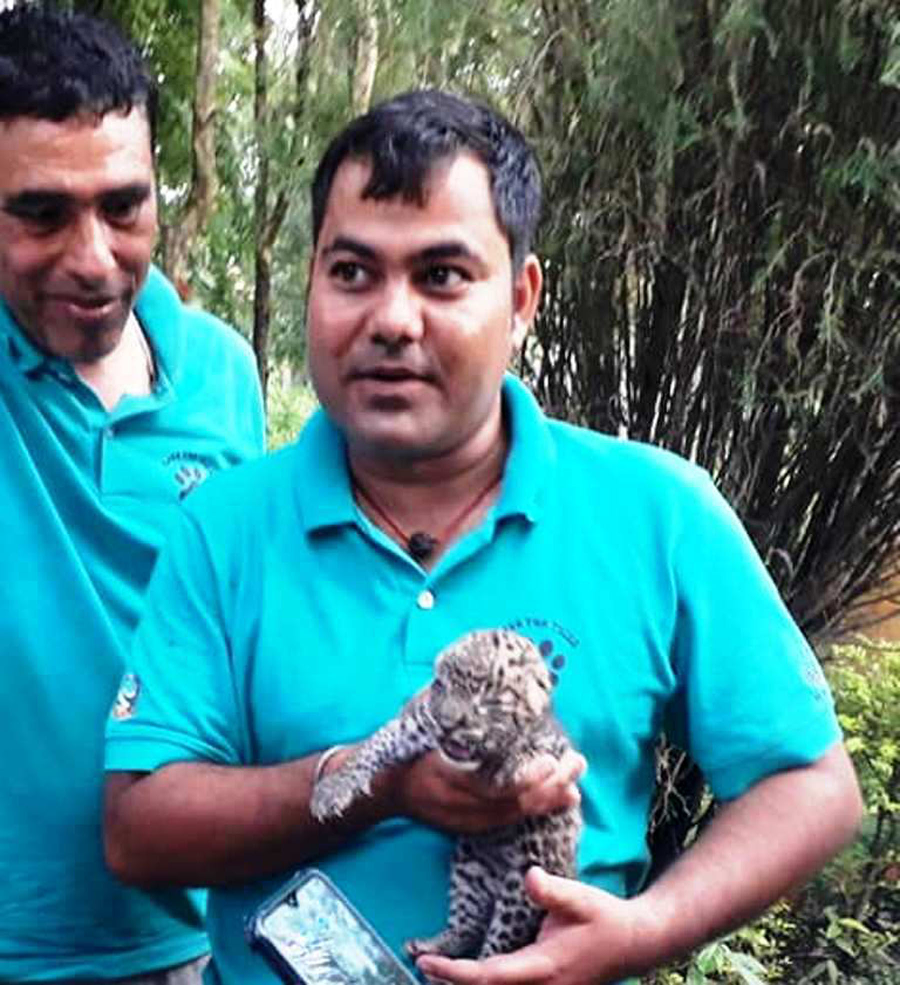 चितुवाको बच्चा उद्धार