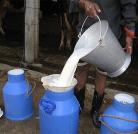 दूधको मूल्य बढ्यो