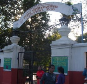 संविधान दिवसमा चिडियाखाना प्रवेश शुल्कमा छुट   