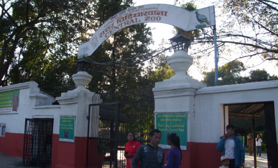 संविधान दिवसमा चिडियाखाना प्रवेश शुल्कमा छुट   