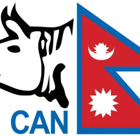 साढे तीन वर्षपछि क्यानको निलम्बन सशर्त फुकुवा