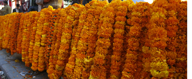 तिहारमा २५ लाख मालाको माग