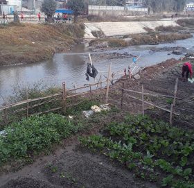वाग्मतीमा अलपत्र सौन्दर्य, फस्टाउँदै तरकारी खेती