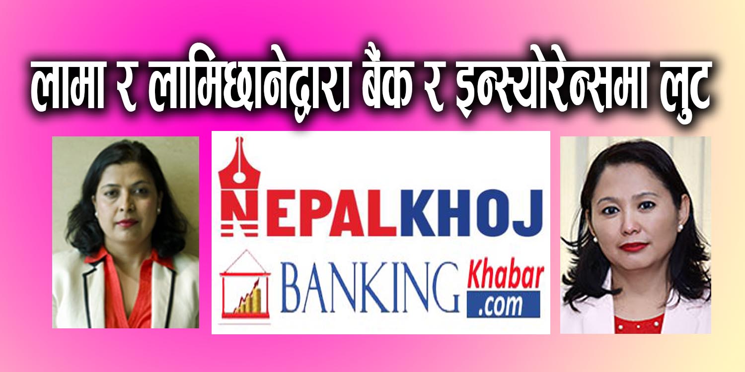 लामा र लामिछानेद्वारा बैंक र इन्स्योरेन्समा लुट