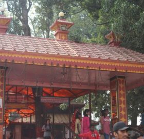 गढिमाई मेलामा विधिवत्रूपमा बलि प्रथा शुरु