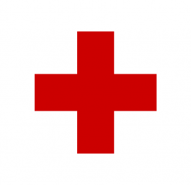 रेडक्रसमा छानबिनको माग