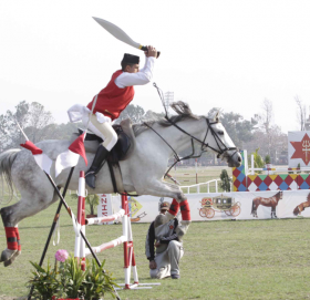 कोरोनाले घोडेजात्रा स्थगित