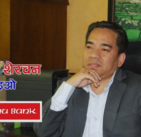 राज्यको धनराशी स्वास्थ्य क्षेत्रमा लगानी गर्नु पर्यो