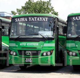 साझा बस आजदेखि चल्ने
