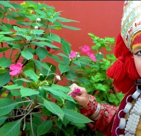 प्रिन्स एण्ड प्रिन्सेस वल्ड २०२० मा भिड्दै नेपालकी छोरी सात वर्षिया प्रिन्शा खड्का