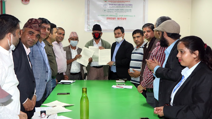 तीन वटा लघुवित्त मर्जर जाने सहमति