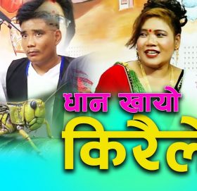 लोक गीत ”धान खायो किरैले” को भिडियो सहित