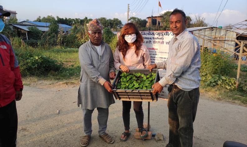 दशैँका मुख्य दिनमा पनि रोकिएन निःशुल्क गुर्जो वितरण अभियान