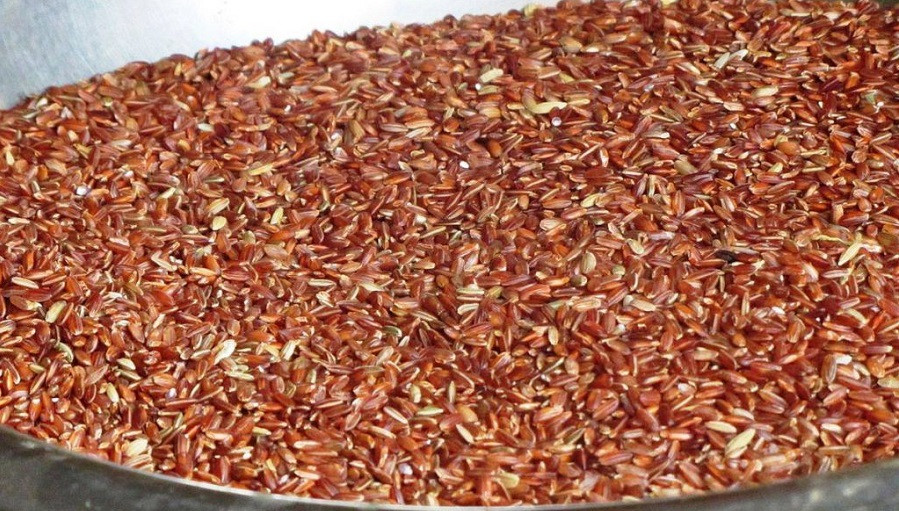 कालीमार्सी धानको प्याटेन्ट् राइट खोइ ?