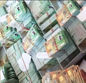 अब ट्रायल पास गर्ने चालकहरुलाई प्रोभिजनल लाइसेन्स