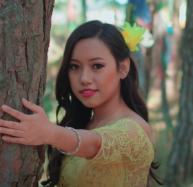 २ दशकपछि दीपक तुम्बापो ‘सल्लेरी पाखामा’ लिएर पुनः संगीतमा फर्किए ( भिडियो )