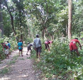 पाल्पाका कृषकको अभियान ‘खाडी नपसौँ, झाडी पसौँ’ झाडी