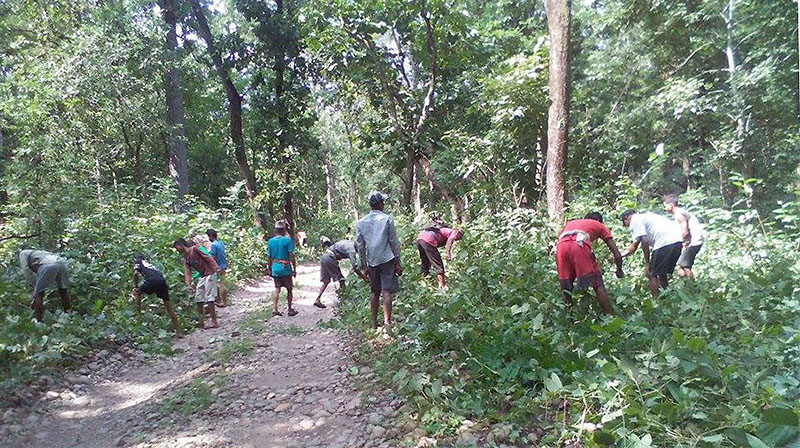 पाल्पाका कृषकको अभियान ‘खाडी नपसौँ, झाडी पसौँ’ झाडी