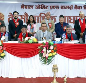 एनसीसी बैंकको अध्यक्षमा न्यौपाने चयन
