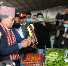 ग्वार्काे तरकारी बजारमा कुमारी बैंकको क्युआर भुक्तानी सेवा विस्तार