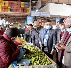 तिनकुने स्थित हरित सामुदायिक कृषि बजारमा माछापुच्छ्रे बैंकको क्युआर कोड सेवा