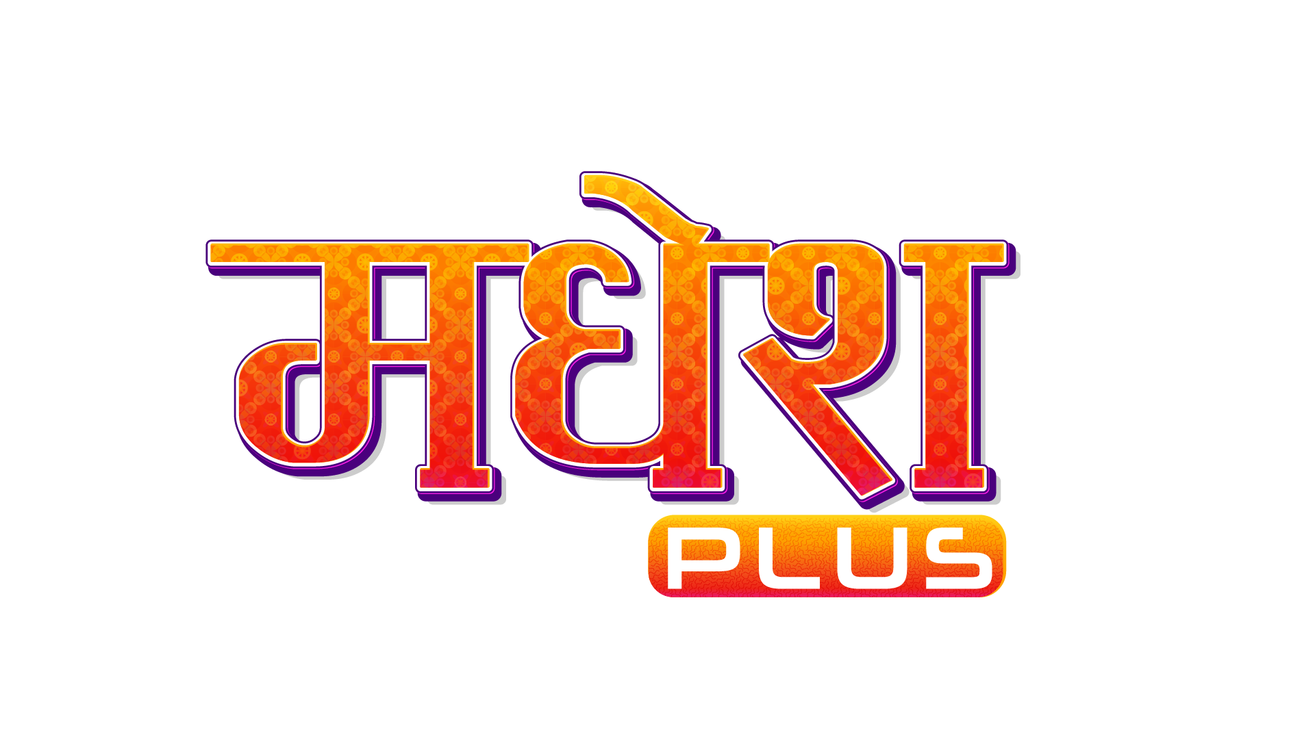 अब डिशहोममा ‘मधेस प्लस’ च्यानल