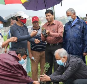 ग्लोबल आइएमई बैंक र विश्वविद्यालय क्याम्पसको सहकार्यमा वृक्षारोपण कार्यक्रम सम्पन्न