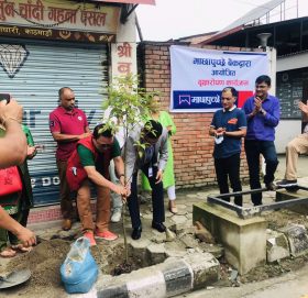 माछापुच्छ्रे बैंकद्वारा एक सय बिरुवा वृक्षारोपण