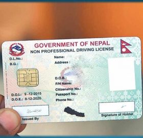 परीक्षणकालीन लाइसेन्स वितरण सुरु