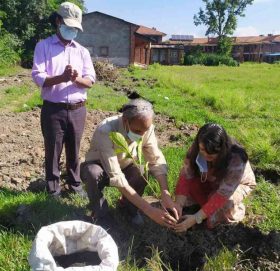 ग्लोबल आइएमई बैंक र त्रिभुवन विश्वविद्यालयको सहकार्यमा वृक्षारोपण