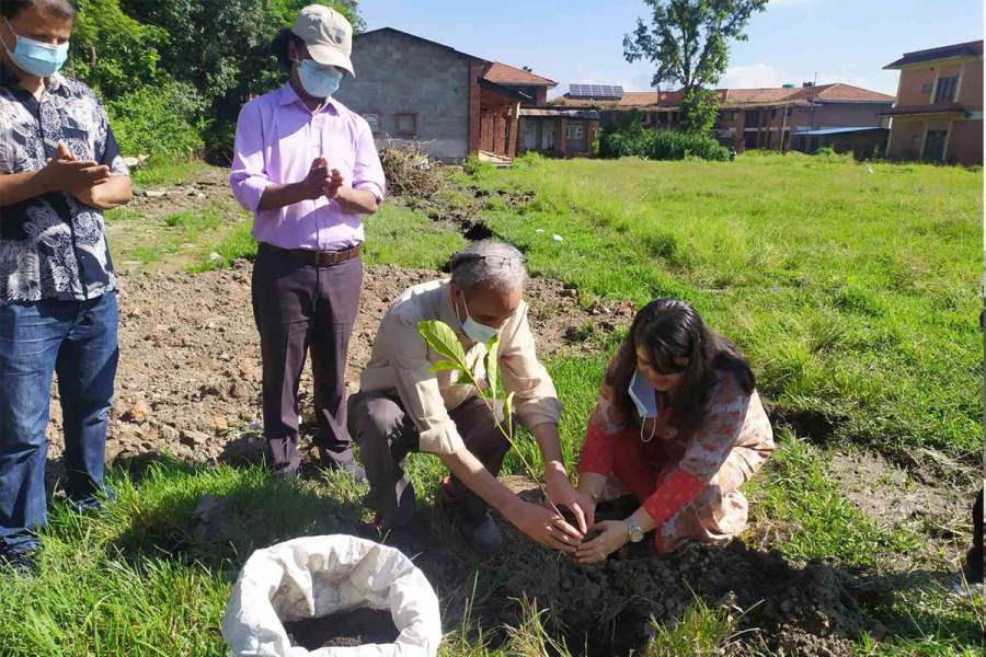 ग्लोबल आइएमई बैंक र त्रिभुवन विश्वविद्यालयको सहकार्यमा वृक्षारोपण