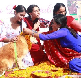 मनाइयो कुकुर तिहार