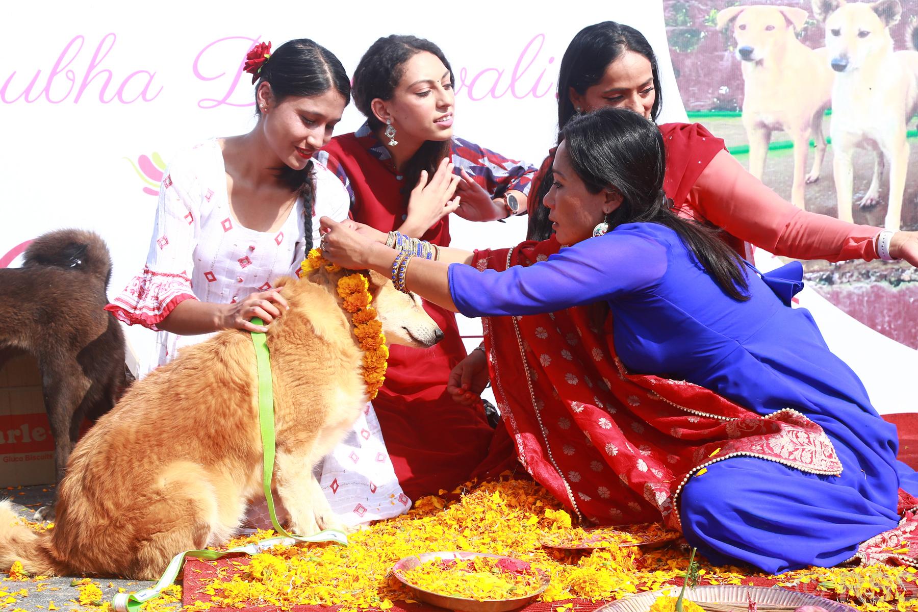 मनाइयो कुकुर तिहार