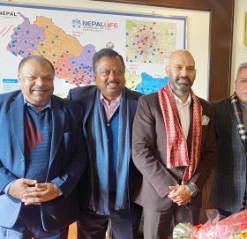 नेपाल लाइफको सिनियर डिसिओमा पराजुली नियुक्त