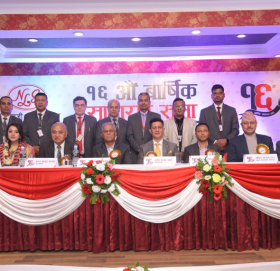 एनएलजी इन्स्योरेन्सको लाभांश पारित