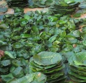 दुनाटपरी बेचेर मनग्य आम्दानी