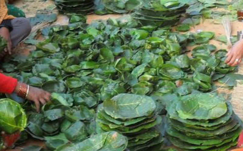 दुनाटपरी बेचेर मनग्य आम्दानी