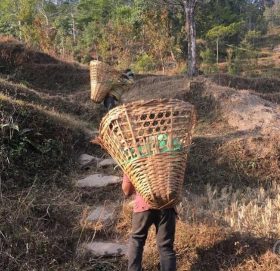सम्बन्धविच्छेदले बढ्दैछ ‘बालश्रम’