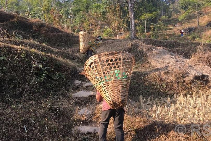 सम्बन्धविच्छेदले बढ्दैछ ‘बालश्रम’
