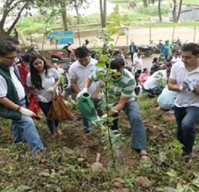 एनएमबि बैंकद्धारा नागार्जूनमा वृक्षारोपण