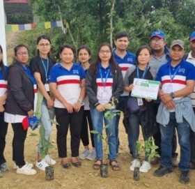 विश्व वातावरण दिवसको उपलक्ष्यमा माछापुच्छ्रे बैंकद्धारा वृक्षारोपण