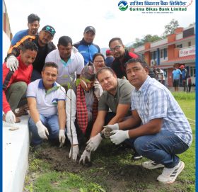 गरिमा विकास बैंकले टोखा चण्डेश्वरी अस्पताल परिसरमा बृहत बृक्षारोपण सम्पन्न