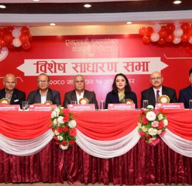 एनएलजी इन्स्योरेन्सको विशेष साधारणसभाबाट ६६% हकप्रद सेयर जारी गर्ने प्रस्ताव पारित