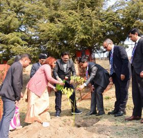 नेपाल एसबिआई बैंकद्धारा पशुपति मन्दिर परिसर वृक्षारोपण