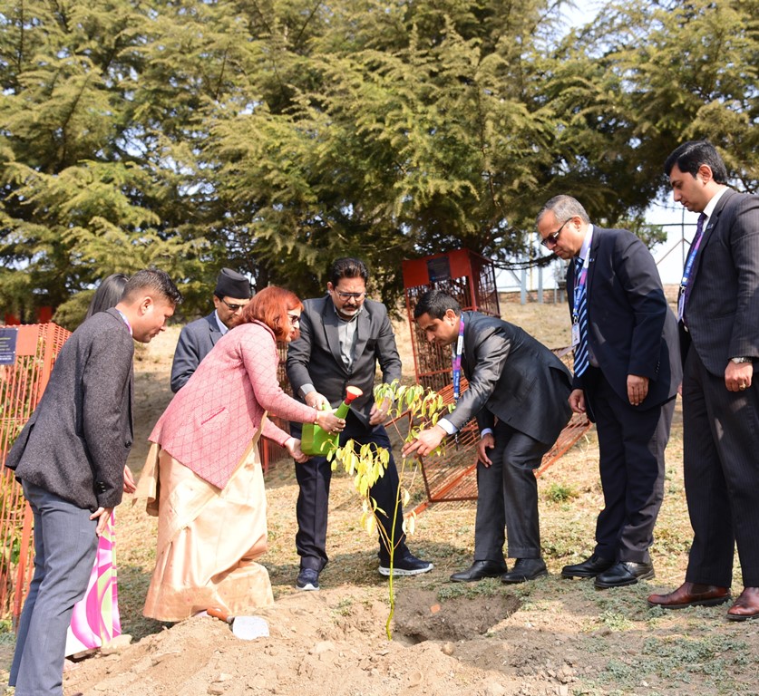 नेपाल एसबिआई बैंकद्धारा पशुपति मन्दिर परिसर वृक्षारोपण