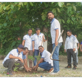 एक्सेल डेभलपमेन्ट बैंकद्वारा वृक्षारोपण कार्यक्रम सम्पन्न