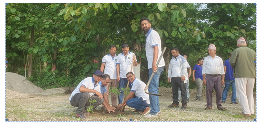 एक्सेल डेभलपमेन्ट बैंकद्वारा वृक्षारोपण कार्यक्रम सम्पन्न