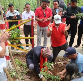 आई.एम.ई. लाइफ इन्स्योरेन्सद्वारा वृक्षारोपण