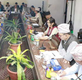 सेबोनलाई सांसदका प्रश्नैप्रश्न: पाइपलाइनमा रहेका आईपीओ किन रोकेको ?